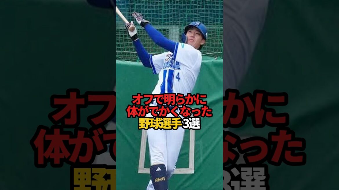 オフで明らかに体がデカくなった野球選手 3選#sports #shorts #プロ野球 #野球 #やきゅスト