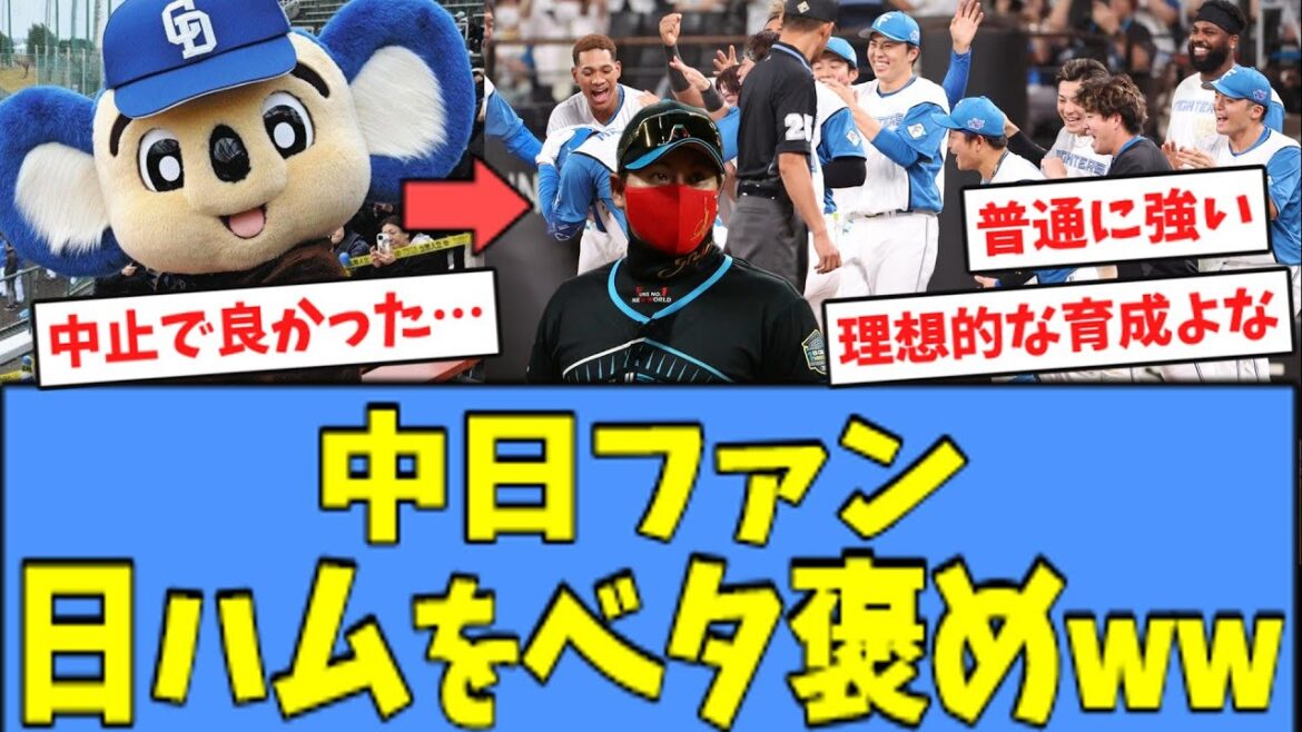 【嬉しい】中日ファン、日ハムを"ベタ褒め"してくれていたｗｗｗ