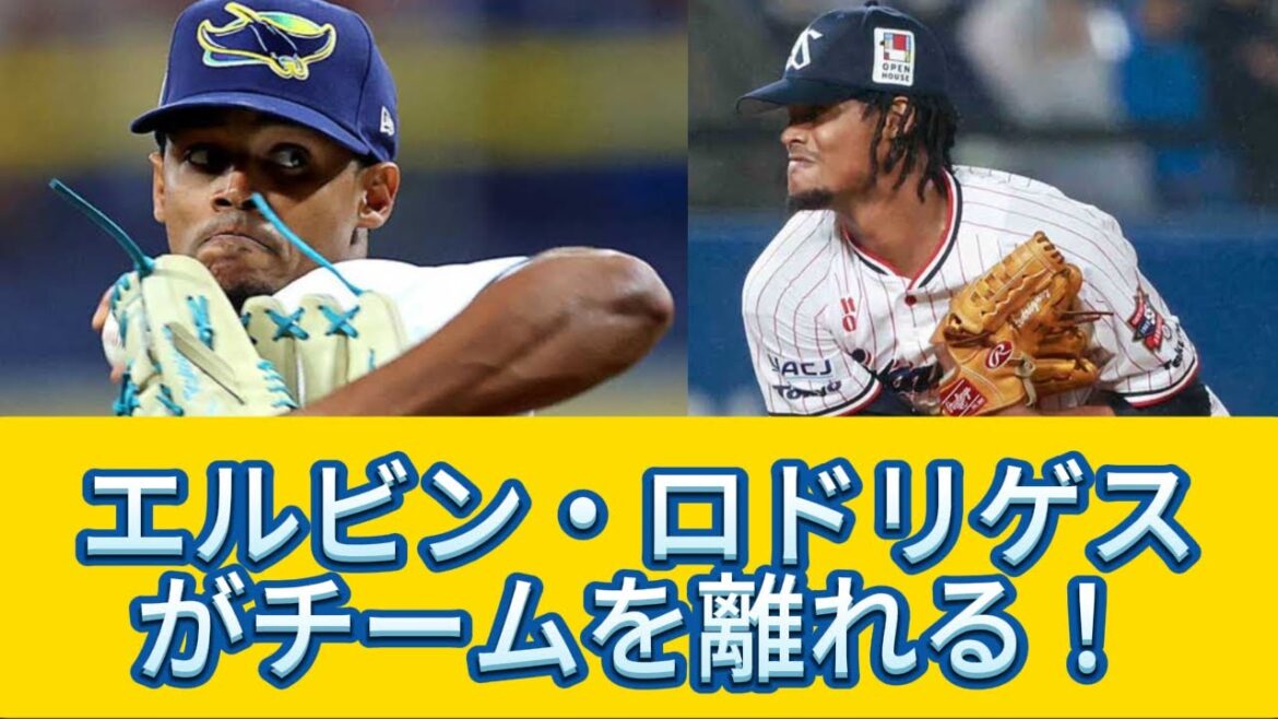 【速報】エルビン・ロドリゲス選手が退団!理由と今後の展望【野球情報】【プロ野球反応集】【2chスレ】【5chスレ】 【速報】エルビン・ロドリゲス選手が退団!理由と今後の展望【野球情報】【プロ野球反応集】【2chスレ】【5chスレ】