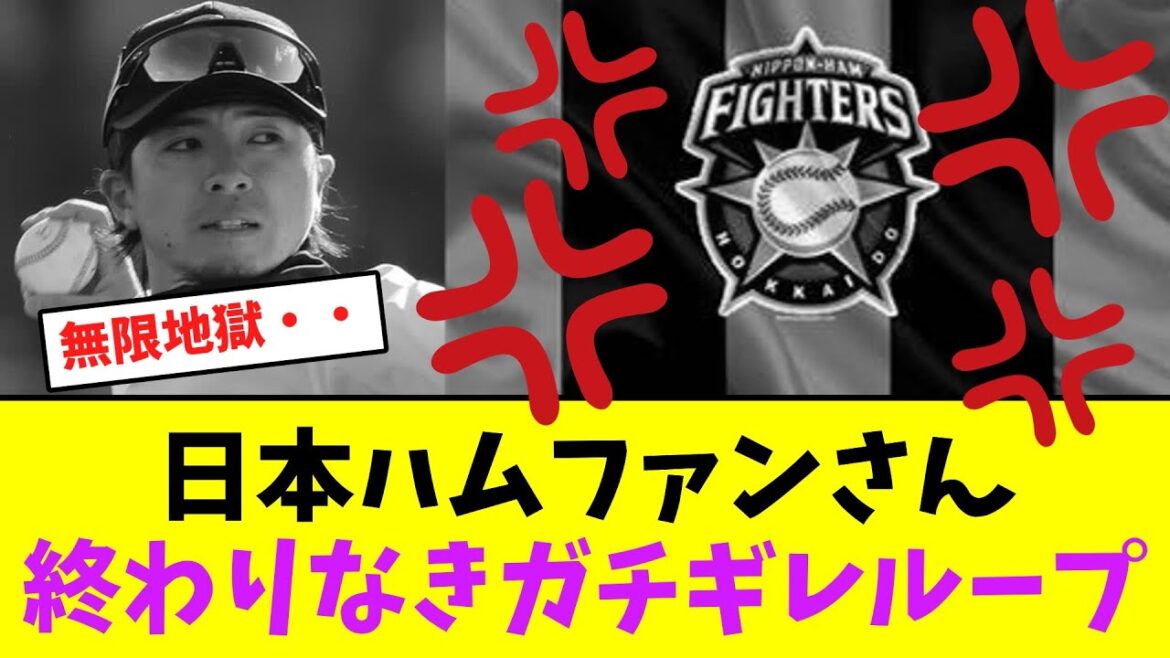 日本ハムファンさん、上沢の件で終わりなきガチギレループ！【なんJなんG】【2ch5ch】