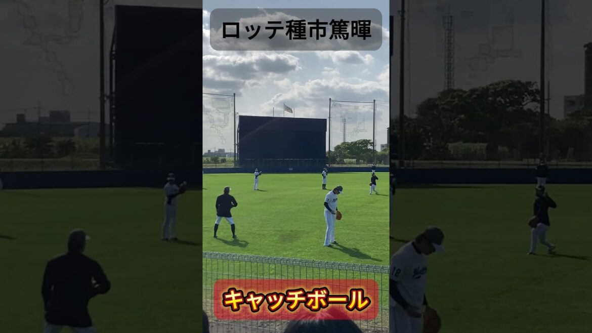 春季キャンプ2025での種市篤暉選手（ロッテ）のキャッチボール #千葉ロッテマリーンズ #プロ野球 #春季キャンプ #種市篤暉 #キャッチボール #野球youtube