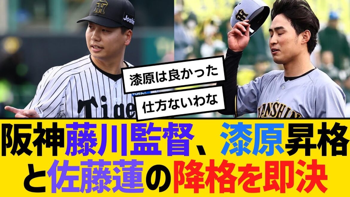阪神・藤川監督、漆原昇格と佐藤蓮の降格を即決　【ネットの反応】【反応集】