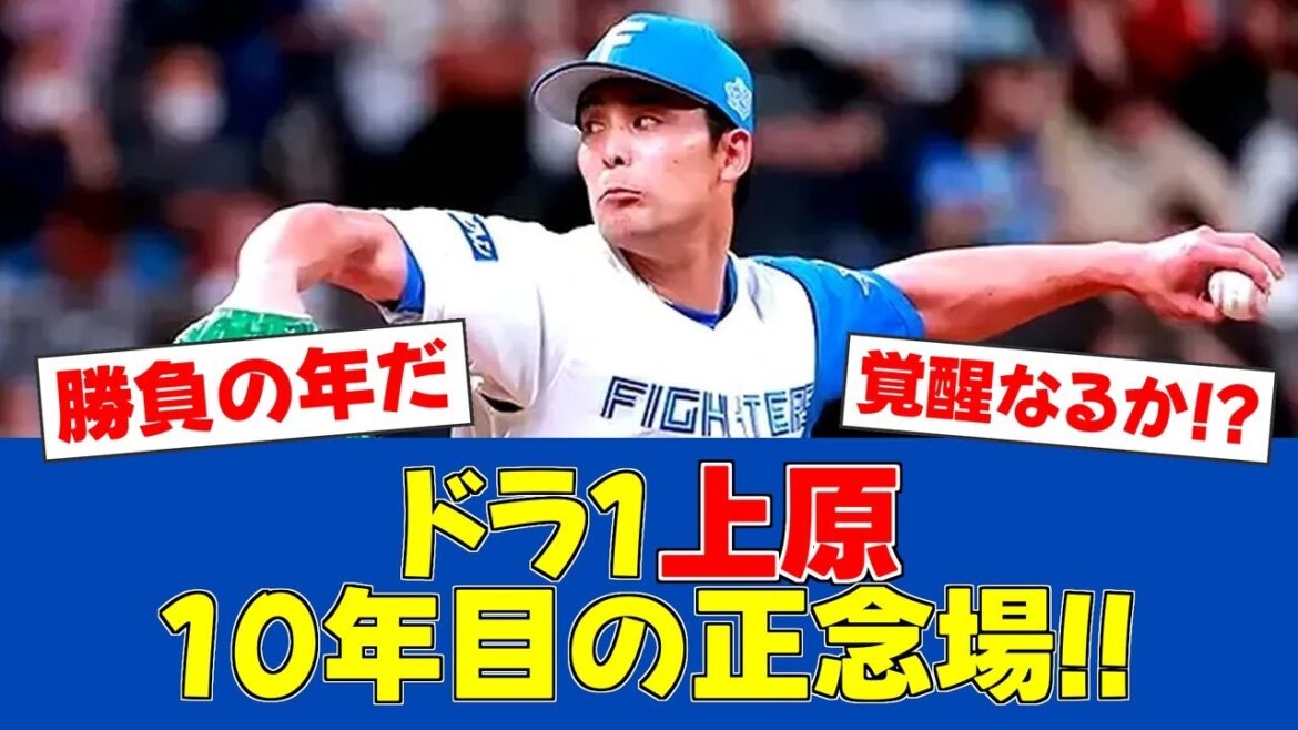 【崖っぷち】日ハムドラ1上原、プロ10年目の正念場【日ハムファンの反応】【F速報】