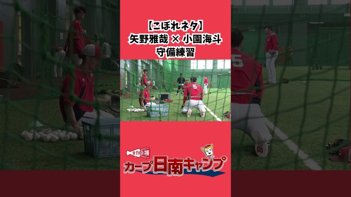 【こぼれネタ】カープを引っ張る若鯉2人‼矢野雅哉と小園海斗が合同守備練習🔥 #カープ #広島カープ #広島 ＃矢野雅哉 #小園海斗