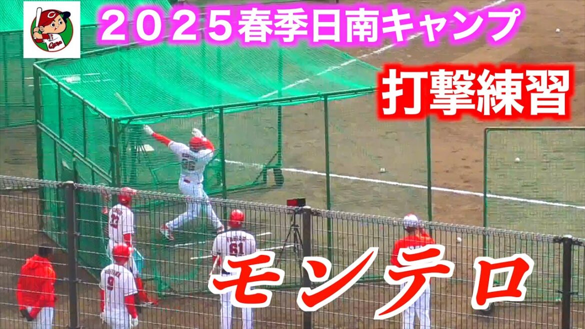 【巨体だが力感がない】モンテロ（広島東洋カープ）打撃練習！③【２０２５春季日南】