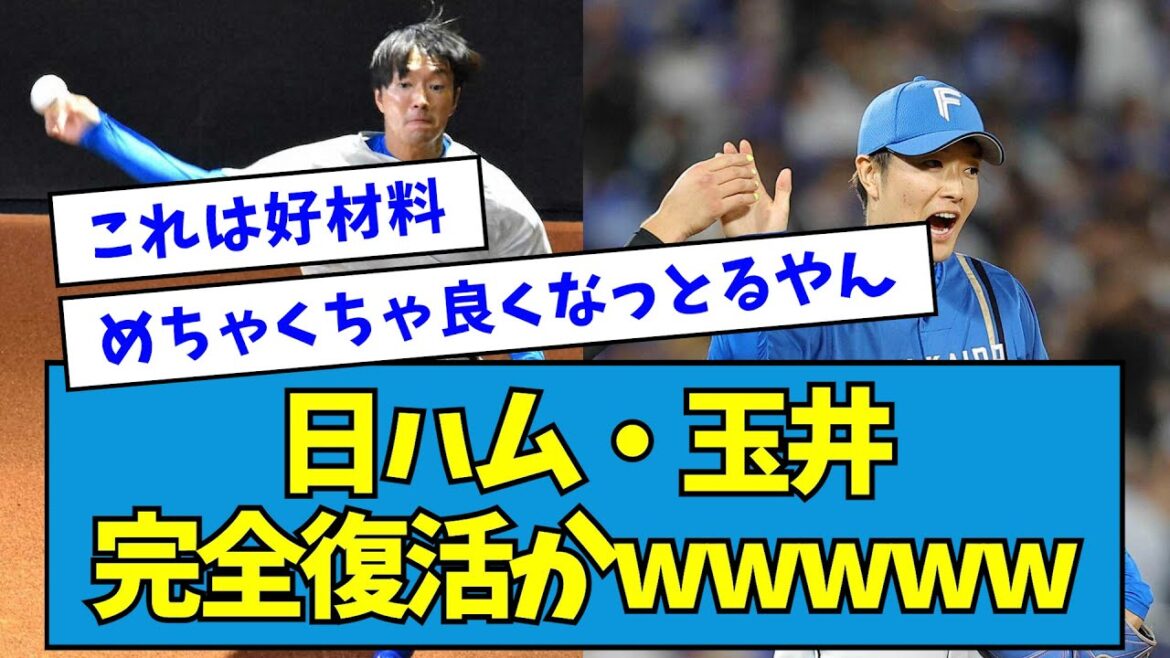 【大朗報】日ハム・玉井、完全復活かwwwww【なんJ反応】 【大朗報】日ハム・玉井、完全復活かwwwww【なんJ反応】