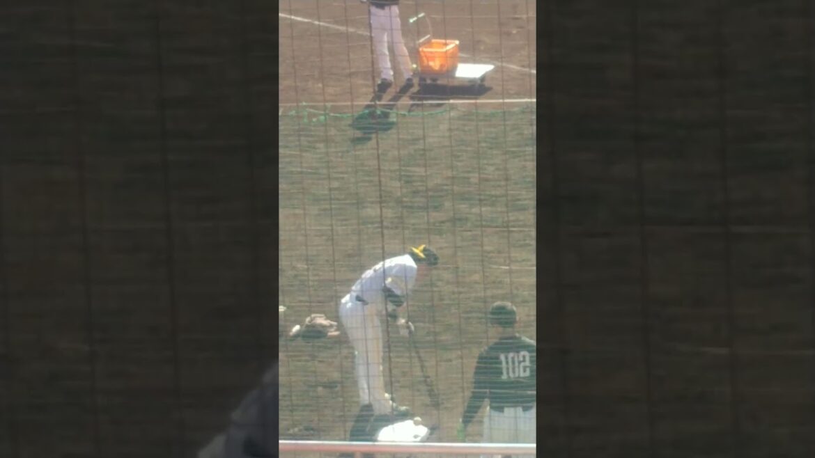 谷川原健太選手（福岡SB）連続トスバッティングでグロッキー状態