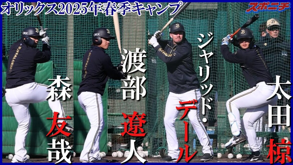 【オリックス宮崎キャンプ2025】 森友哉、渡部遼人、太田椋、テスト生のジャリッド・デール 4選手のフリー打撃 【オリックス宮崎キャンプ2025】 森友哉、渡部遼人、太田椋、テスト生のジャリッド・デール 4選手のフリー打撃