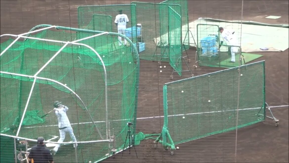 柳田悠岐・山川穂高、フリーバッティング（2025.02.13） ～ソフトバンクホークス春季キャンプ2025～