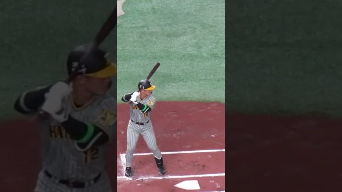 【タイガース】坂本誠志郎2024開幕時バッティングフォーム2024年3月29日 読売ジャイアンツ対 阪神タイガース #坂本誠志郎