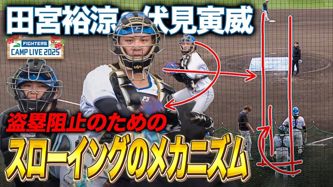 盗塁スローイングのメカニズム解説 伏見寅威＆田宮裕涼の捕手練習＜2/11ファイターズ春季キャンプ2025＞