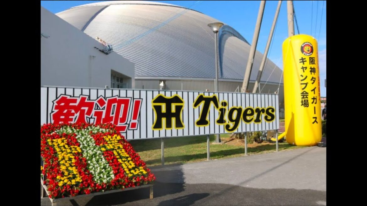 【毎日プロ野球しゃべり場】25/2/14　サンテレビ熱血タイガース党　阪神沖縄キャンプ第3クール総括👉　他　今日の阪神情報を語れるライブ　🤫#阪神タイガース　#阪神 #プロ野球