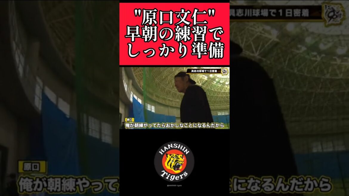 【阪神】"原口文仁"ベテランでも早朝練習！ #阪神 #阪神タイガース #原口文仁  #shorts