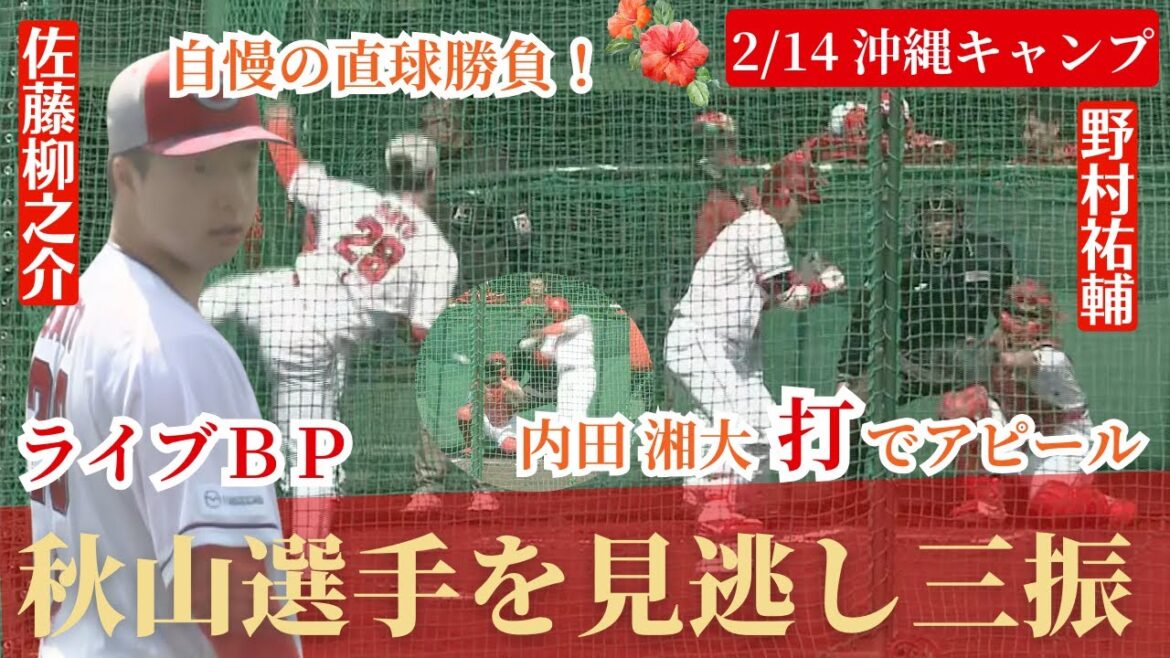 【沖縄キャンプ2日目】ライブＢＰで佐藤柳之介がアピール！秋山選手を見逃し三振に抑えるなど直球をアピール🔥内田湘大も快音で好調キープ！ 【球団認定】カープ全力応援チャンネル