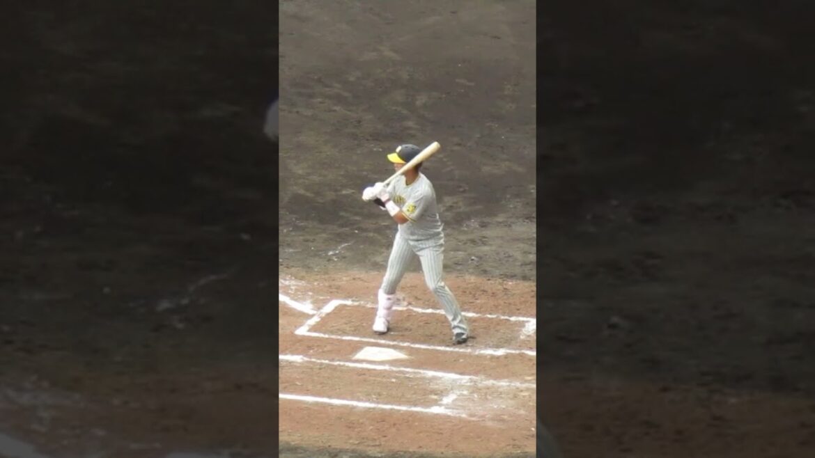 【タイガース】木浪聖也2024年 打撃フォーム（巨人阪神オープン戦2024年2月23日）
