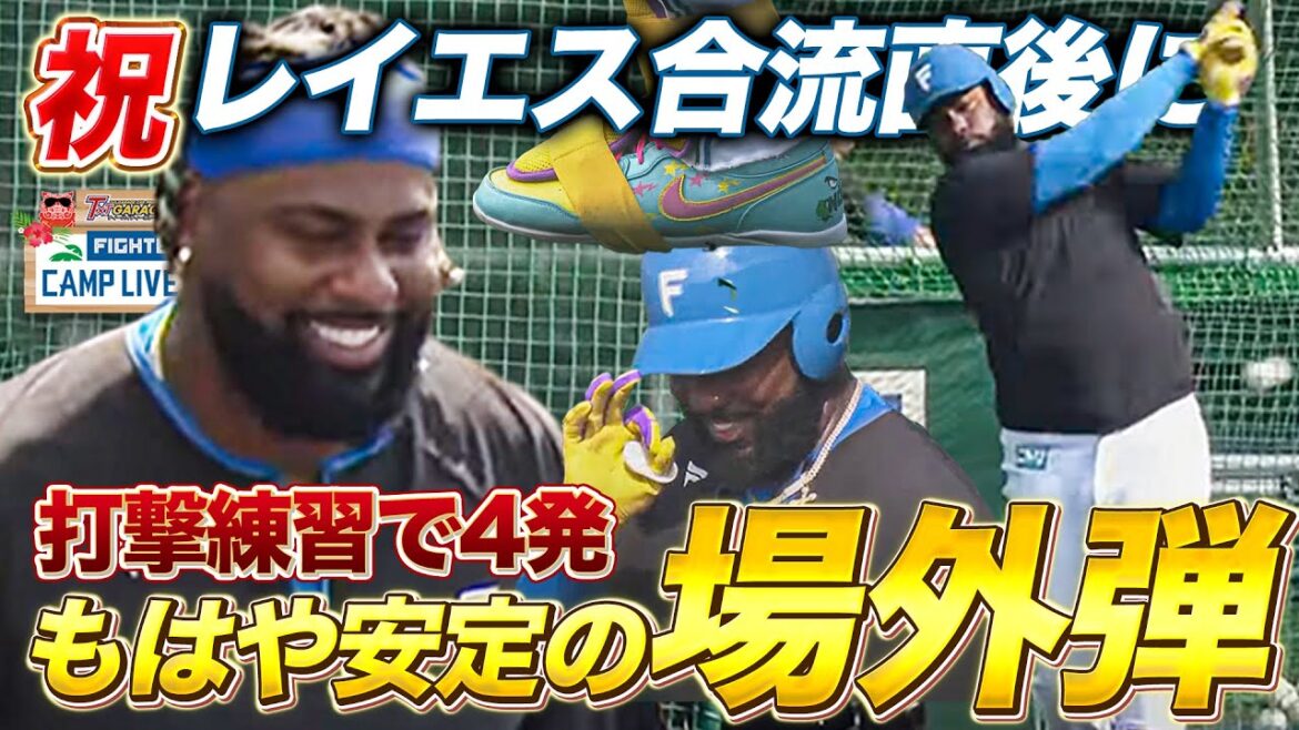 祝レイエス合流!安定の柵越えバッティングをたっぷり観察する<2/15ファイターズ春季キャンプ2025> 祝レイエス合流!安定の柵越えバッティングをたっぷり観察する<2/15ファイターズ春季キャンプ2025>