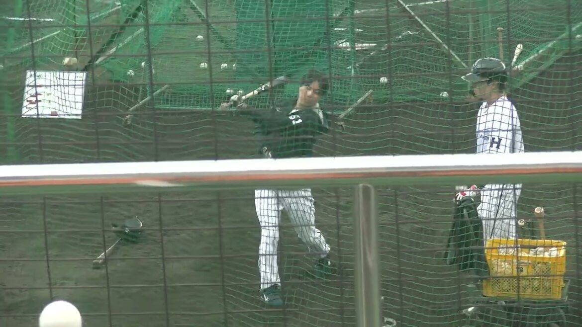 鈴木将平選手(埼玉西武ライオンズ 静岡高校出身) ティーバッティング くふうハヤテベンチャーズ キャンプ  2025/2/3