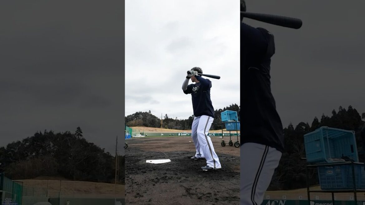 西川龍馬選手のロングティーバッティング #西川龍馬 #宮崎春季キャンプ #オリックス #バッティング #shorts