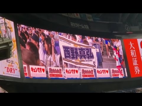 20240627 西野真弘 奇数打席の登場曲【「笑顔のループ」/AAA】 5回ウラ第3打席 オリックス・バファローズ@京セラドーム大阪・レフト外野下段 Bsオリ姫デー2024 20240627 西野真弘 奇数打席の登場曲【「笑顔のループ」/AAA】 5回ウラ第3打席 オリックス・バファローズ@京セラドーム大阪・レフト外野下段 Bsオリ姫デー2024