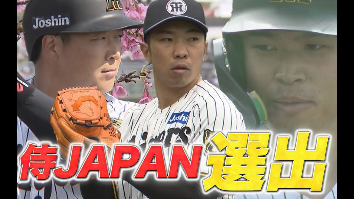 【2/14 祝！侍JAPAN選出】石井投手・大山選手・佐藤輝明選手が3月に行われる侍JAPANのメンバーに選出！！