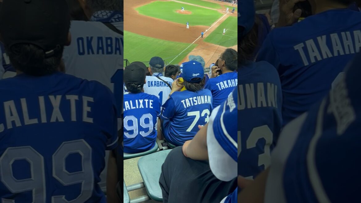 広島🔥今日もビジター敗戦濃厚😰のどかな中日ビジター🫨2024.8.3広島戦1-4逆転負け😰マツダ・ビジターパフォーマンス席 #中日 #ドラゴンズ　#広島