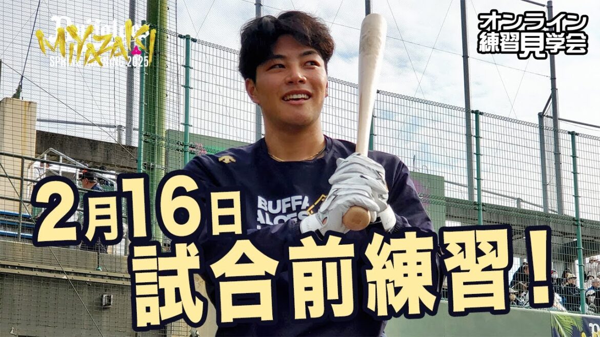 【生配信】2月16日宮崎春季キャンプ