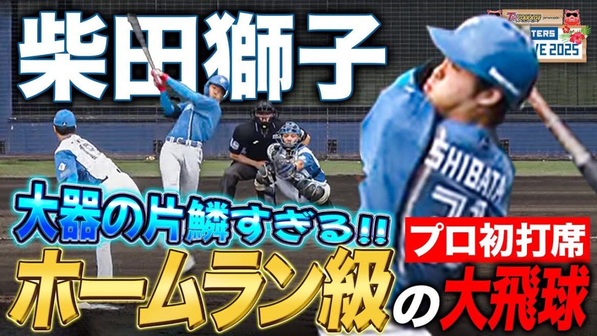 ドラ1柴田獅子“プロ初打席”は中飛 逆風なければ“プロ1号”の大飛球に新庄監督「よう当たるな、1年目で」<2/15ファイターズ春季キャンプ2025> ドラ1柴田獅子“プロ初打席”は中飛 逆風なければ“プロ1号”の大飛球に新庄監督「よう当たるな、1年目で」<2/15ファイターズ春季キャンプ2025>