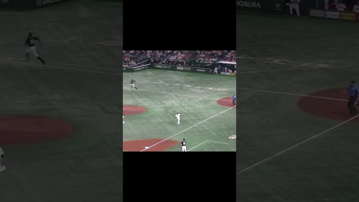 岡大海がセーフティバントで内野安打（2024年6月6日 読売ジャイアンツ対 千葉ロッテマリーンズ）