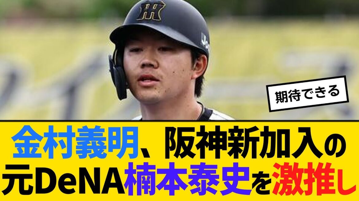 金村義明、阪神新加入の元DeNA楠本泰史を激推し「絶対に代打の切り札になる」 【ネットの反応】【反応集】 金村義明、阪神新加入の元DeNA楠本泰史を激推し「絶対に代打の切り札になる」 【ネットの反応】【反応集】