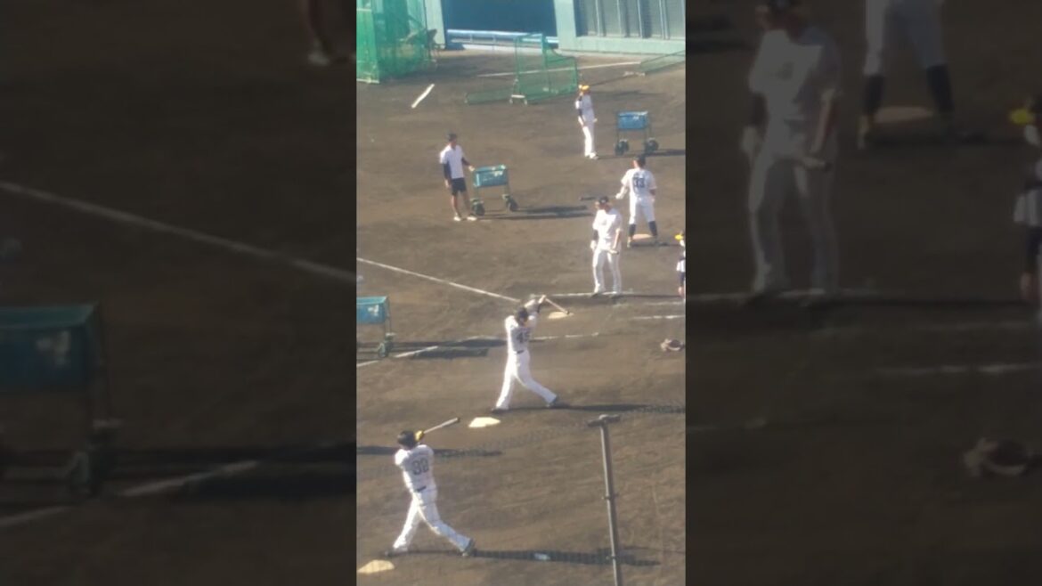 ロングティーバッティング　#柳町達 #谷川原健太 #渡邉陸 #増田珠