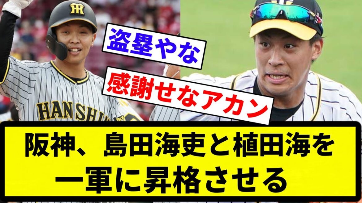 【阪神ファン的にどうなん？】阪神、島田海吏と植田海を一軍に昇格させる【プロ野球反応集】【2chスレ】【なんG】
