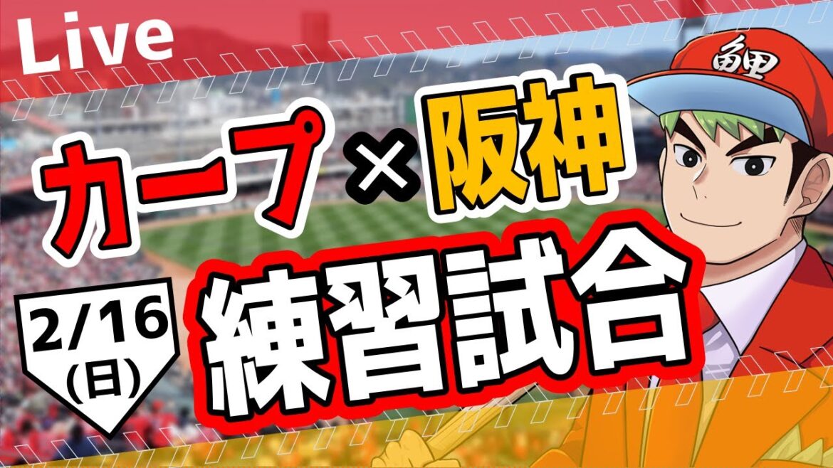 【カープ 練習試合】2/16　カープ 対 阪神タイガースをみんなで応援するライブ！広島戦を生配信中！！ #広島東洋カープ  #カープ  #カープライブ　カープ 対 タイガース