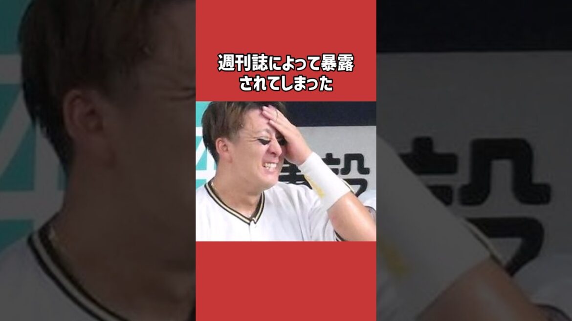 杉本裕太郎に関する雑学＃野球＃杉本裕太郎＃野球雑学