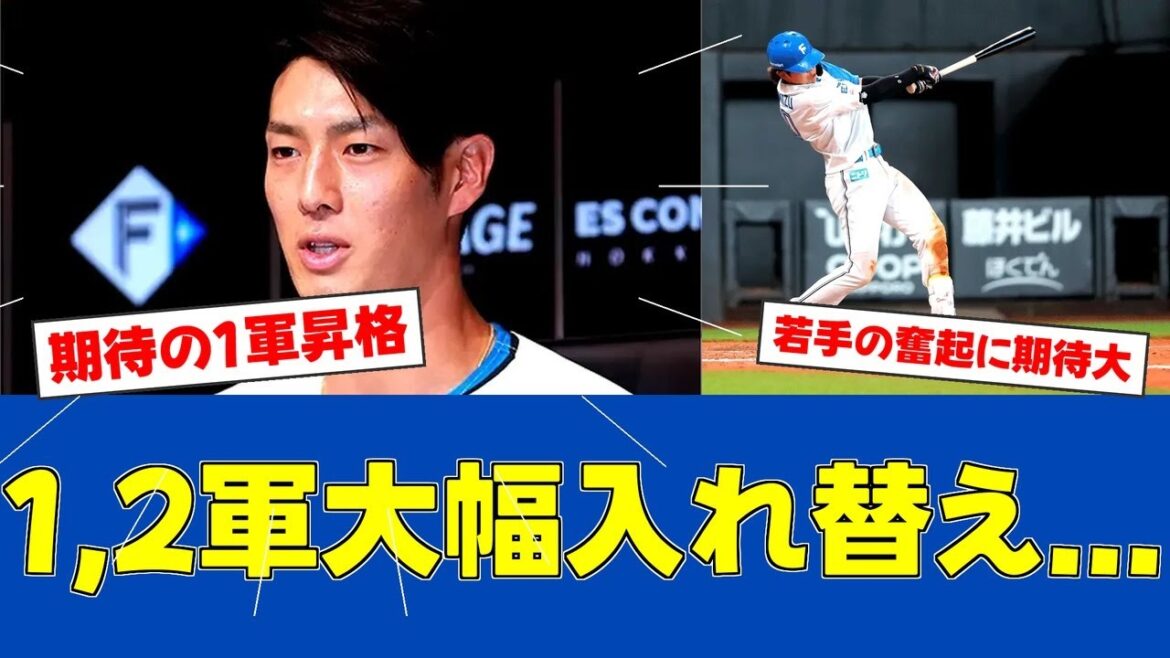 【朗報】日本ハム若林、紅白戦で存在感発揮!!【日ハムファンの反応】【F速報】 【朗報】日本ハム若林、紅白戦で存在感発揮!!【日ハムファンの反応】【F速報】