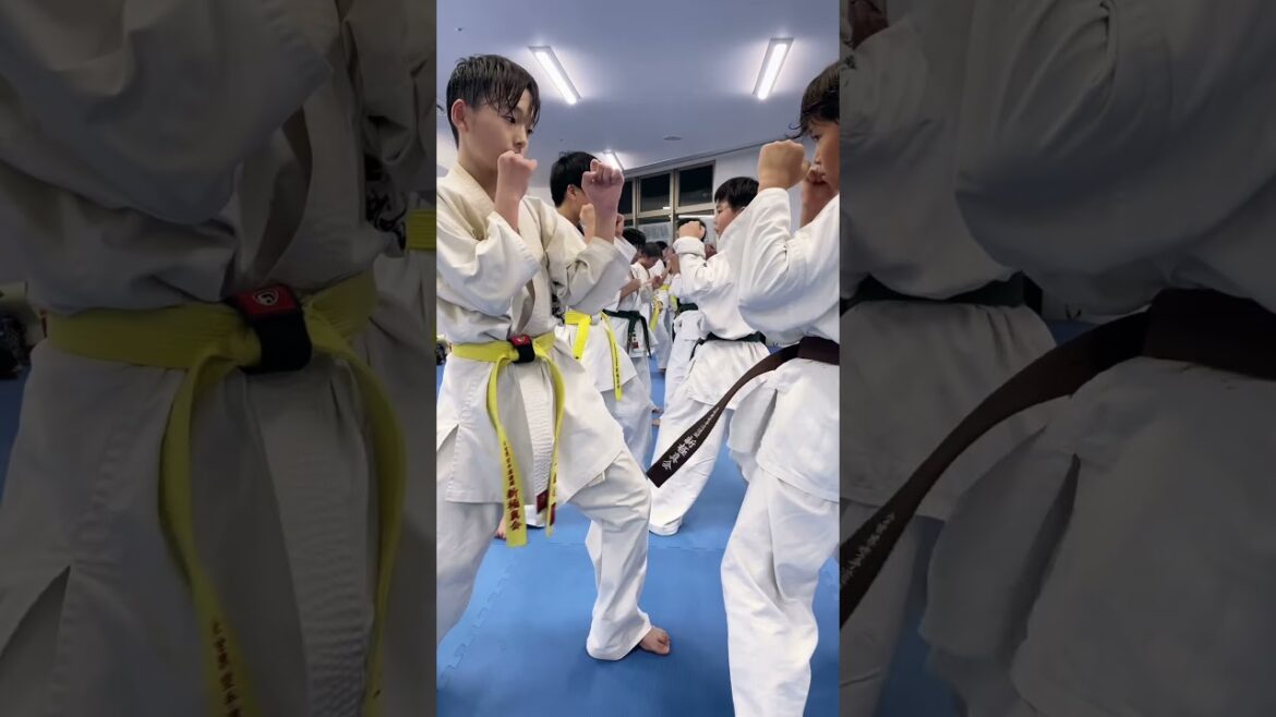【新極真会】福岡支部少年部腹打ち稽古 #karate #空手道 #kyokushin #martialarts #極真空手 #sports #shinkyokushin #新極真会 【新極真会】福岡支部少年部腹打ち稽古 #karate #空手道 #kyokushin #martialarts #極真空手 #sports #shinkyokushin #新極真会