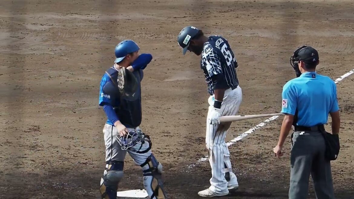 2024.09.01 埼玉西武-横浜DeNA #コルデロ 打席シーン (カーミニーク) 2024.09.01 埼玉西武-横浜DeNA #コルデロ 打席シーン (カーミニーク)