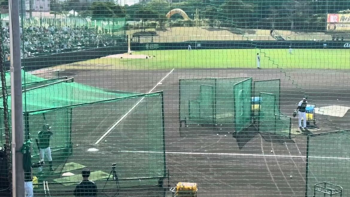 【今年も共に戦う】大山悠輔 打撃練習 2/16 沖縄キャンプ
