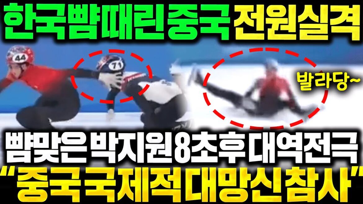 (중국해설 실제번역) 한국선수 뺨때린 중국선수 실격 대굴욕! 뺨맞은 박지원 8초뒤 불쑥튀어나오자 세계최초 대역전극 난리났다