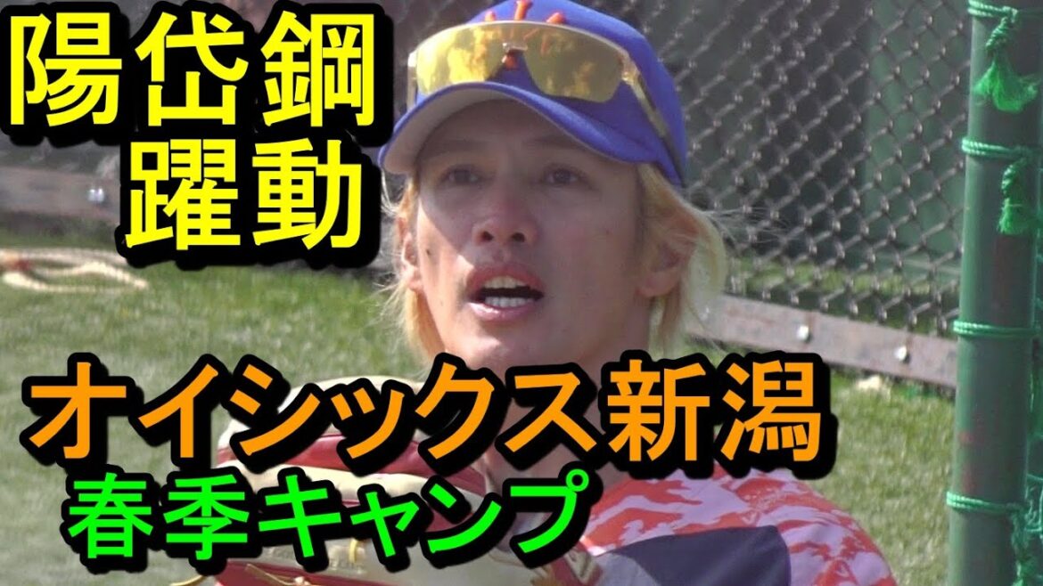 陽岱鋼が躍動、紅白戦にも出場 オイシックス新潟春季キャンプ2025.2.15 陽岱鋼が躍動、紅白戦にも出場 オイシックス新潟春季キャンプ2025.2.15