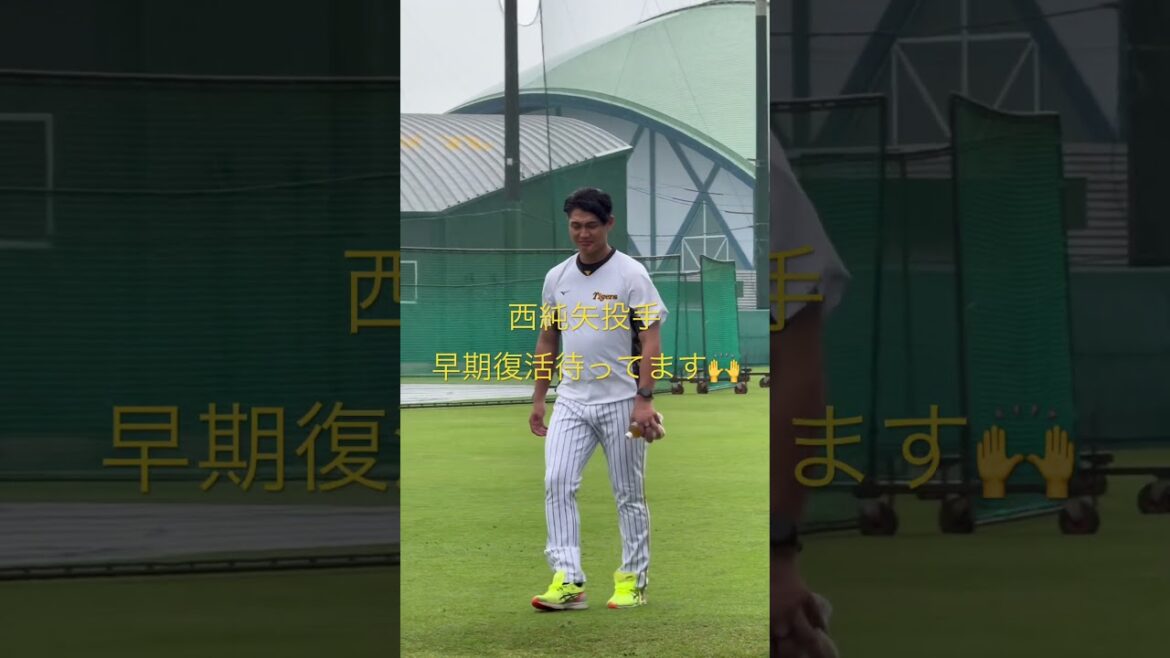 西純矢投手の子供への神笑顔☺️#阪神タイガース　#阪神　#西純矢 #阪神ファン
