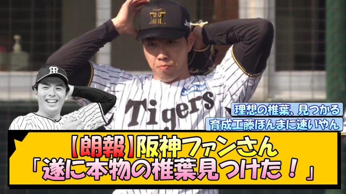 【朗報】阪神ファン「遂に本物の椎葉見つけた！」【なんJ/2ch/5ch/ネット 反応 まとめ/阪神タイガース/藤川球児/工藤泰成/椎葉剛】
