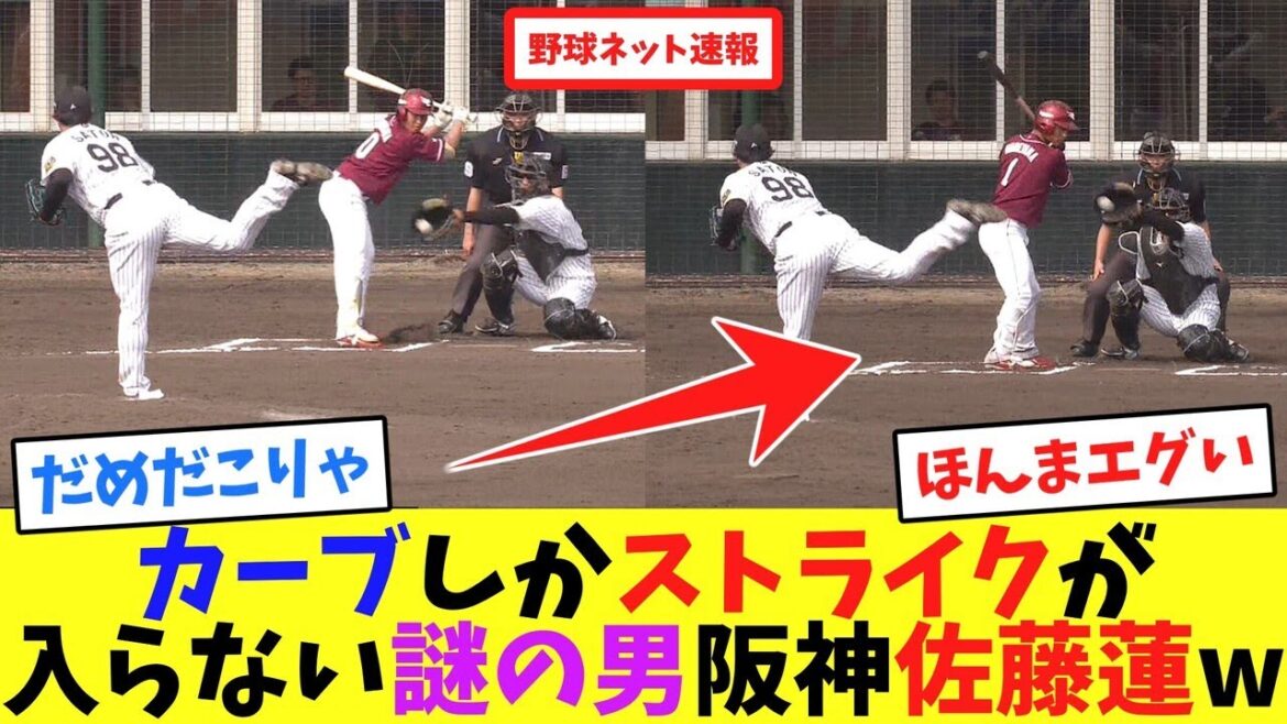 カーブしかストライクが入らない謎の男、阪神佐藤蓮w【ネット反応集】