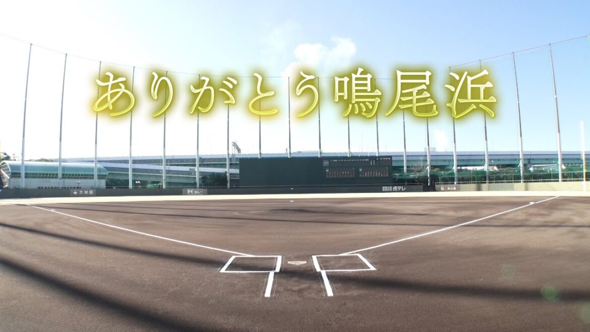 【鳴尾浜ヒストリー】#阪神鳴尾浜球場 の功績を後世に！1994年の竣工以来、長きにわたり若虎育成の場としての役割を果たしてきた鳴尾浜球場の歴史をお届けします！#ありがとう鳴尾浜