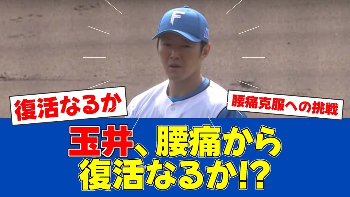 【朗報】玉井大翔、新フォームで再起へ!!【日ハムファンの反応】【F速報】