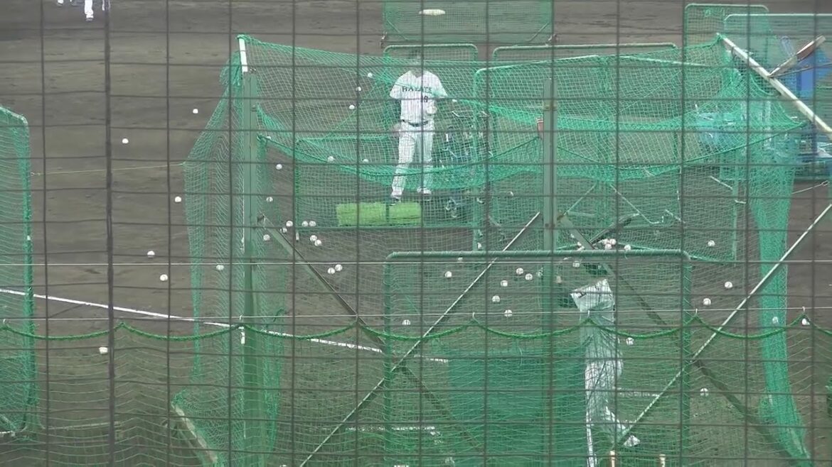 鈴木将平選手(埼玉西武ライオンズ 静岡高校出身) フリーバッティング くふうハヤテベンチャーズ キャンプ  2025/2/3