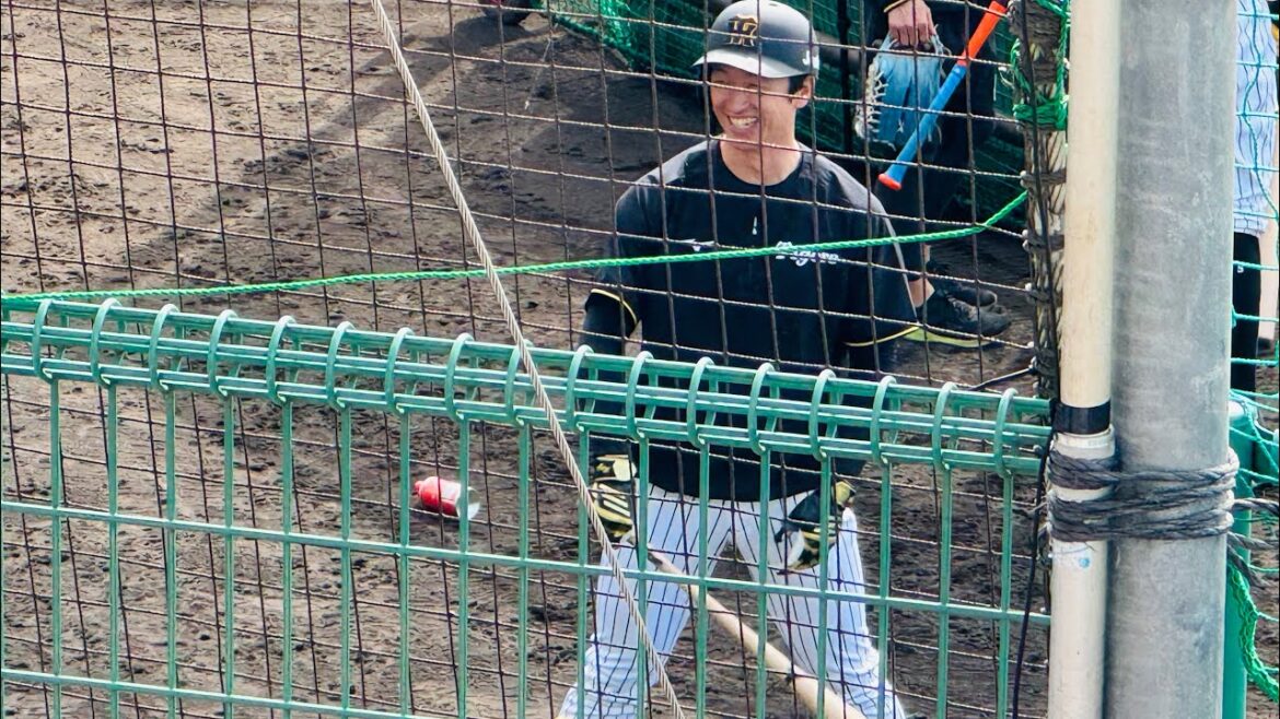 近本光司 大山悠輔 同級生コンビの打撃練習 2/16 宜野座キャンプ