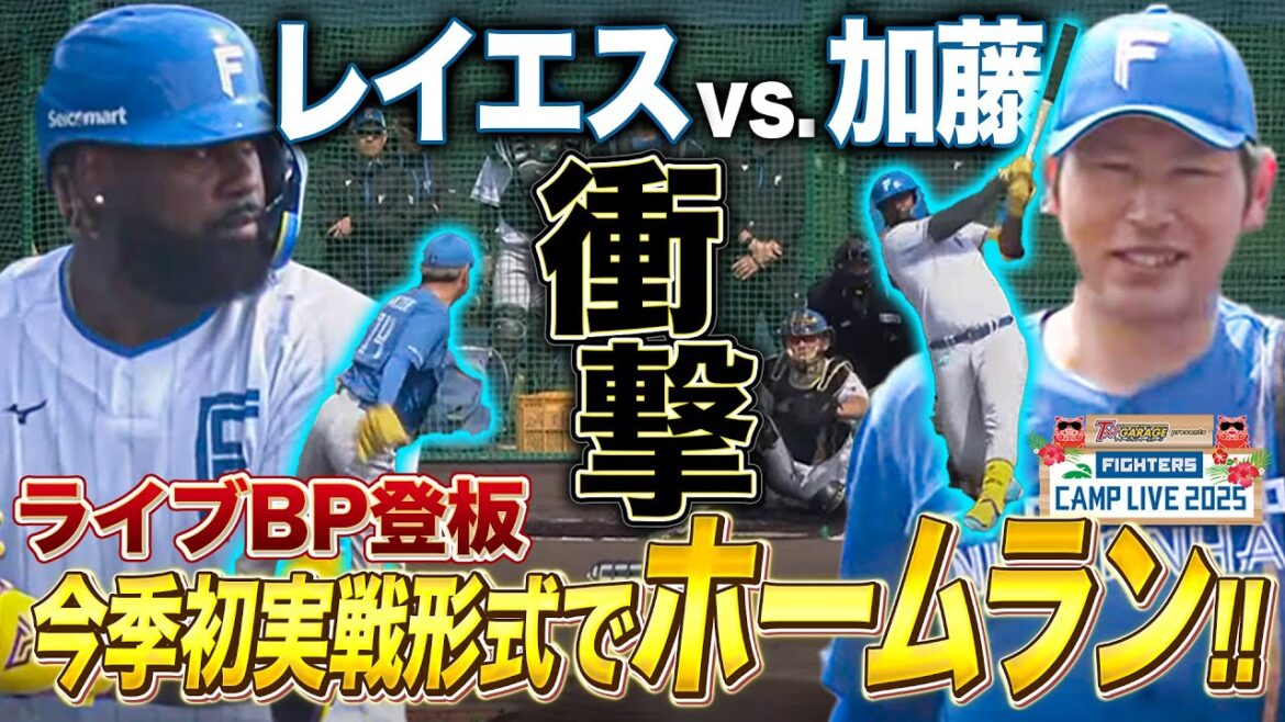 【全投球】加藤貴之ライブBP登板 レイエス＆万波ら主力相手に抜群の安定感＜2/17ファイターズ春季キャンプ2025＞