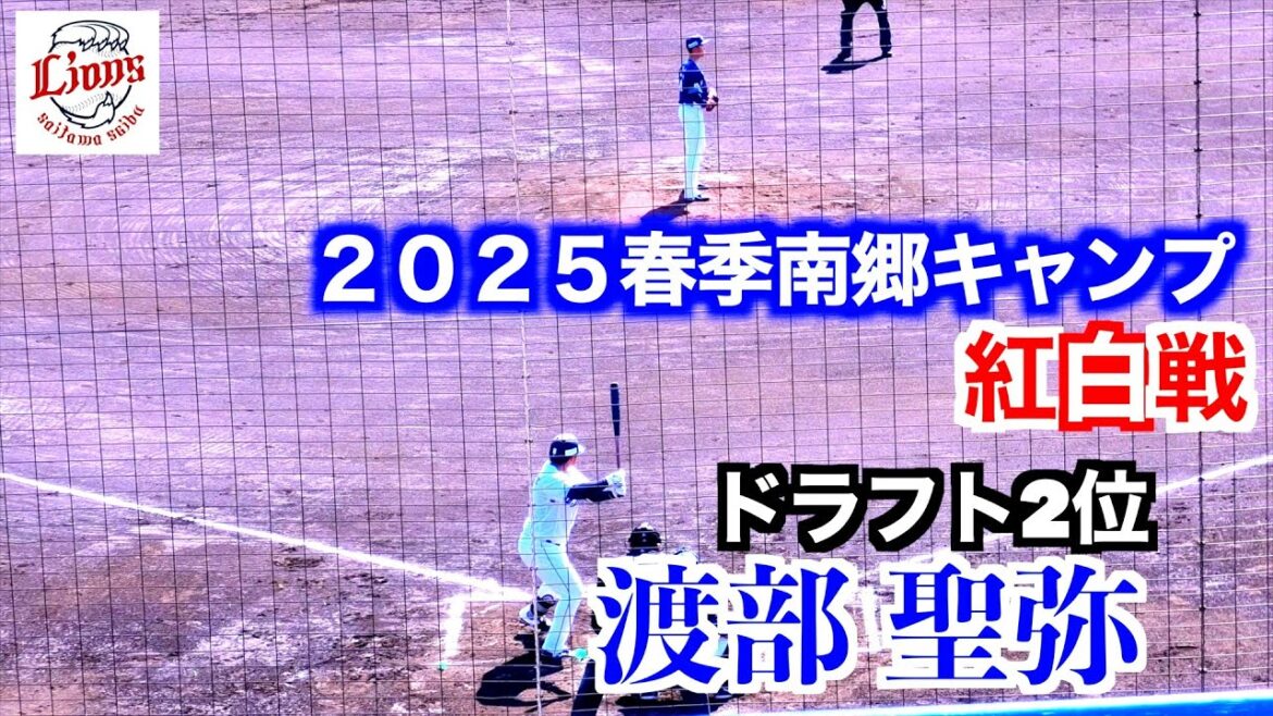 埼玉西武ライオンズ紅白戦【２０２５春季南郷キャンプ】