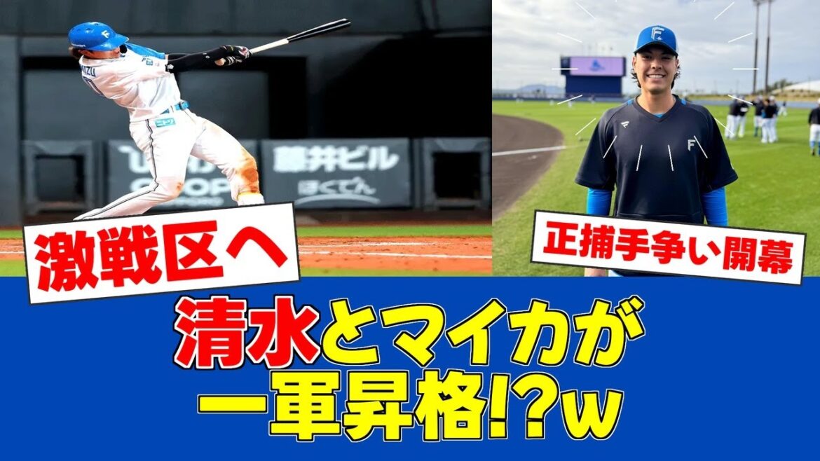 【朗報&悲報w】日ハム捕手陣に激震!清水&マイカ昇格で一軍大混戦へ【日ハムファンの反応】【F速報】 【朗報&悲報w】日ハム捕手陣に激震!清水&マイカ昇格で一軍大混戦へ【日ハムファンの反応】【F速報】