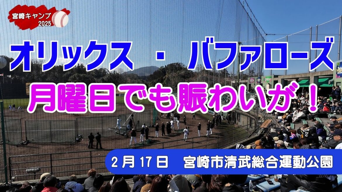 【宮崎キャンプ2025】2月17日のオリックス・バファローズの様子【宮崎市清武総合運動公園】